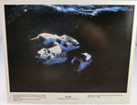 Alien color Press Photo Pressefoto 1979 U.S.  A 4 (Kopie)